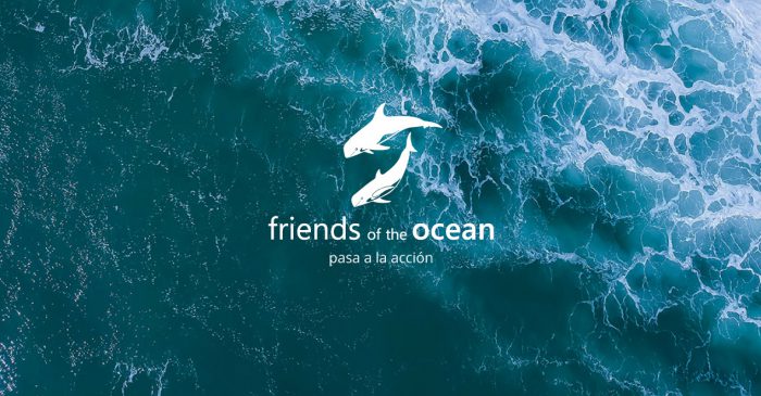 friends of the ocean